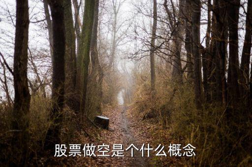 經濟做空是什么意思,經濟術語中的做空