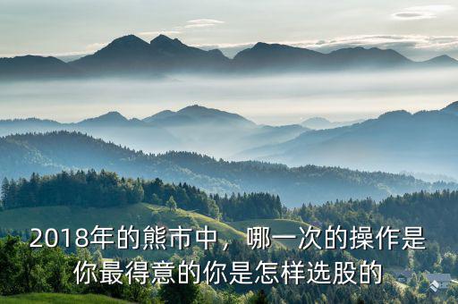2018年的熊市中，哪一次的操作是你最得意的你是怎樣選股的