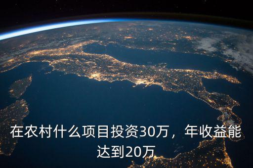 在農(nóng)村什么項(xiàng)目投資30萬，年收益能達(dá)到20萬