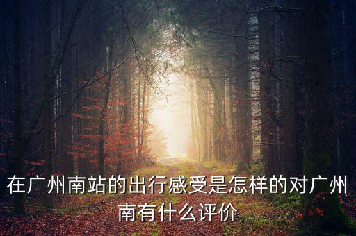 在廣州南站的出行感受是怎樣的對(duì)廣州南有什么評(píng)價(jià)
