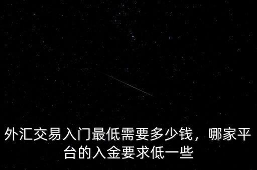 外匯交易入門最低需要多少錢，哪家平臺的入金要求低一些