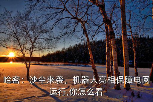 哈密：沙塵來襲，機器人亮相保障電網(wǎng)運行,你怎么看