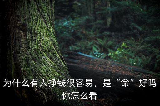 為什么有人掙錢很容易，是“命”好嗎你怎么看