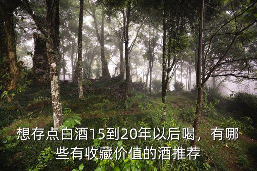 想存點(diǎn)白酒15到20年以后喝，有哪些有收藏價(jià)值的酒推薦