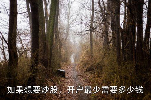 如果想要炒股，開戶最少需要多少錢