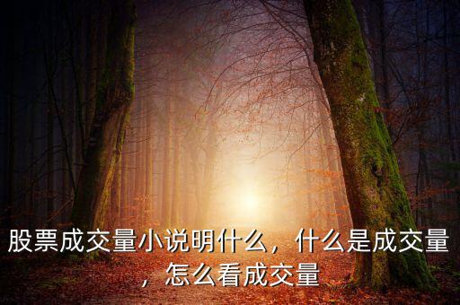 股票成交量小說(shuō)明什么，什么是成交量，怎么看成交量