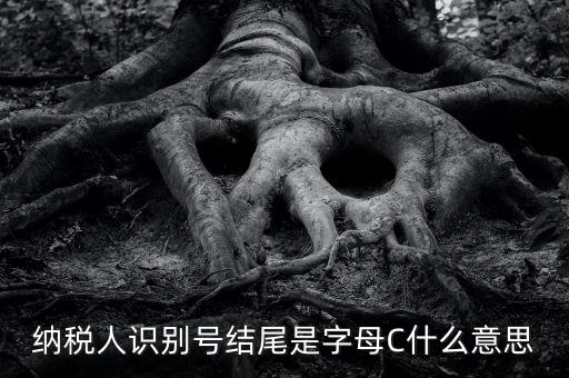c級納稅人是什么意思，納稅人識別號結(jié)尾是字母C什么意思