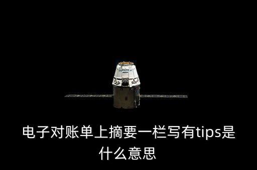 電子對(duì)賬單上摘要一欄寫(xiě)有tips是什么意思