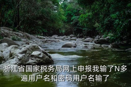 浙江省國家稅務(wù)局網(wǎng)上申報我輸了N多遍用戶名和密碼用戶名輸了