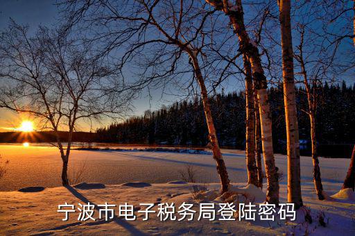 電子稅務(wù)默認(rèn)登錄密碼是什么，稅務(wù)局網(wǎng)站的登入賬戶初始密碼是什么