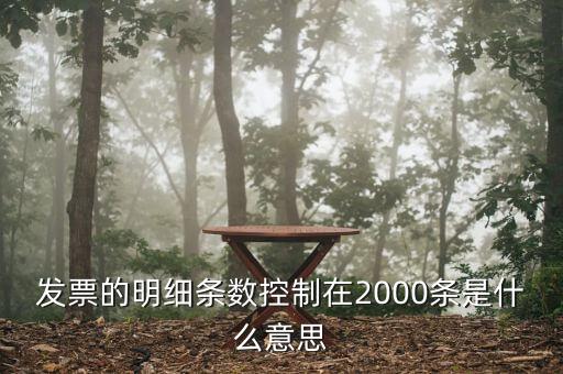 發(fā)票明細(xì)什么意思，發(fā)票的明細(xì)條數(shù)控制在2000條是什么意思