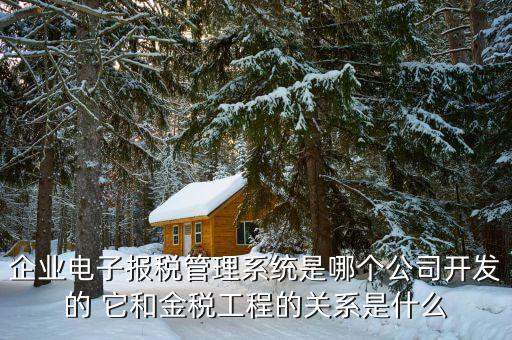 什么是網(wǎng)稅系統(tǒng)，企業(yè)電子報稅管理系統(tǒng)是哪個公司開發(fā)的 它和金稅工程的關(guān)系是什么