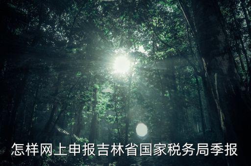 吉林省用什么報(bào)稅系統(tǒng)，吉林省的報(bào)稅系統(tǒng)如何使用