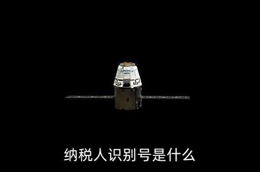 海寧市國家稅務(wù)局認(rèn)別號是什么，納稅人識別號是什么