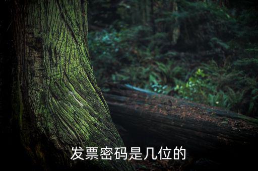 普通發(fā)票密碼是什么，國稅局發(fā)票軟件里用戶代碼和密碼是什么
