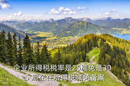 增值稅優(yōu)惠什么備案表，增值稅減免稅備案需要哪些資料