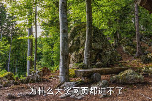 航天金穗網為什么進不去網頁，WW3ZHONGCN這個網站怎么進不去了呢