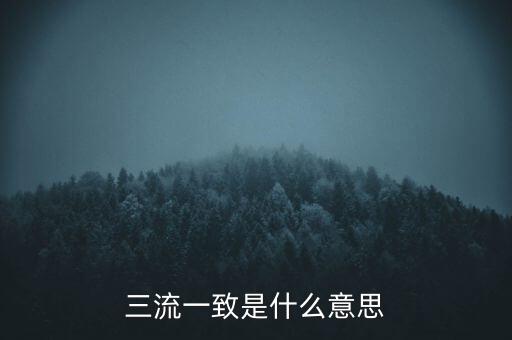 發(fā)票 流向一致是什么意思，發(fā)票四流一致是哪四流