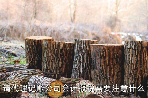 給純地稅做賬注意什么，繳的地稅怎么做帳