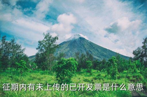 申報(bào)沒(méi)上傳是什么意思，我在財(cái)務(wù)申報(bào)時(shí)沒(méi)上傳第二天可以不傳嗎