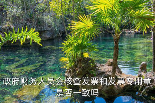 什么情況會(huì)核查發(fā)票，就是稅務(wù)局導(dǎo)出數(shù)據(jù)的時(shí)候會(huì)不會(huì)核對(duì)一下發(fā)票的因?yàn)槲也淮_定自