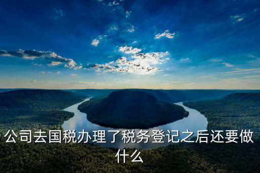國稅辦完之后辦什么，公司去國稅辦理了稅務(wù)登記之后還要做什么