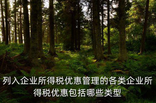 企業(yè)所得稅優(yōu)惠事項(xiàng)名稱指什么，享受企業(yè)所得稅優(yōu)惠申請(qǐng)表中稅收優(yōu)惠事項(xiàng)名稱怎么填