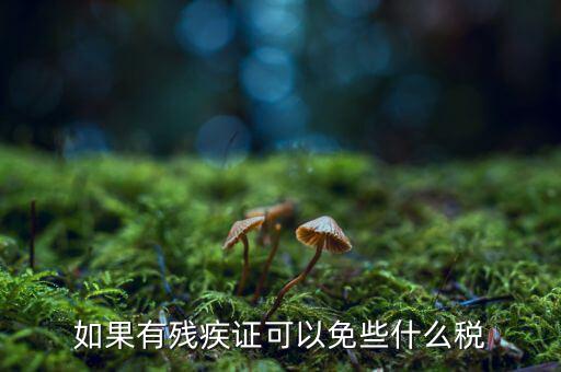 殘疾人免征什么稅，如果有殘疾證可以免些什么稅