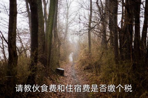 住宿費(fèi)屬于什么稅，請教伙食費(fèi)和住宿費(fèi)是否繳個(gè)稅