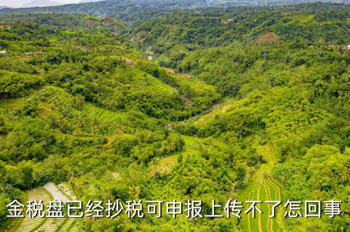 金稅申報發(fā)送不了是什么原因，金稅盤已經(jīng)抄稅可申報上傳不了怎回事