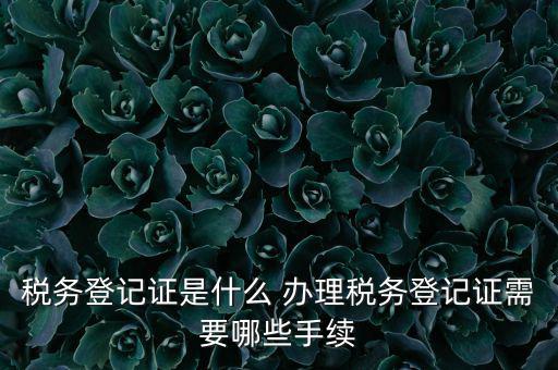 地稅局登記是什么，地稅辦理稅務(wù)登記需要哪些資料