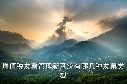 增值稅發(fā)票管理新系統(tǒng)是什么，增值稅開票系統(tǒng)有幾種 增值稅開票系統(tǒng)有哪些