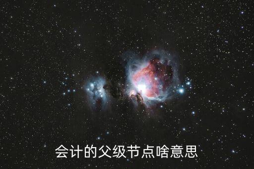 會(huì)計(jì)的父級(jí)節(jié)點(diǎn)啥意思