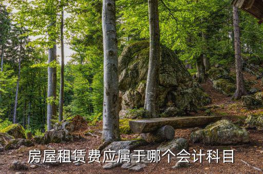 租房費(fèi)用計(jì)入什么科目，房屋租賃費(fèi)應(yīng)屬于哪個會計(jì)科目