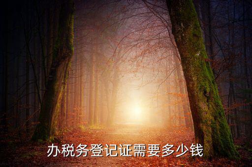 稅務(wù)局登記需要什么手續(xù)費，辦稅務(wù)登記證需要多少錢