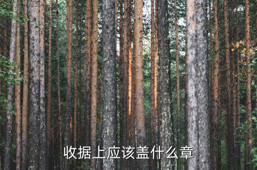 收據(jù)應蓋什么章，收據(jù)蓋什么章有規(guī)定嗎