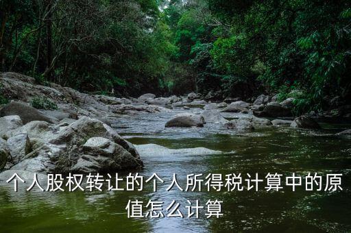 股權(quán)原值是什么，公司注冊資本是100萬現(xiàn)在要轉(zhuǎn)讓股權(quán)那股權(quán)原值是多少股權(quán)轉(zhuǎn)