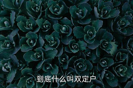 什么是雙定戶，雙翅一一翻雙眉什么雙眼什么