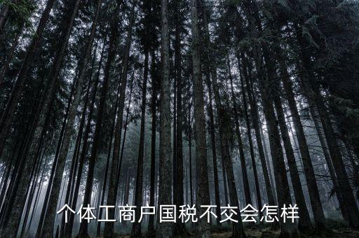 個(gè)體工商戶國稅不交會(huì)怎樣