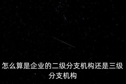 什么叫企業(yè)二級分支機(jī)構(gòu)，現(xiàn)在分公司要辦稅務(wù)登記證但是我想問一下二級分機(jī)構(gòu)指的是