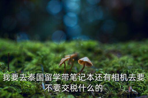泰國什么人需要納稅，我要去泰國留學(xué)帶筆記本還有相機(jī)去要不要交稅什么的