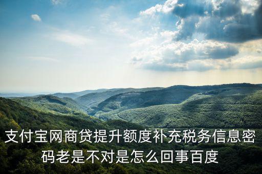支付寶網商貸提升額度補充稅務信息密碼老是不對是怎么回事百度