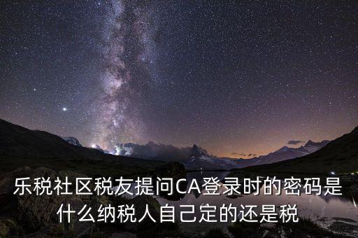 納稅人登路的密碼是什么意思，國稅第一次網(wǎng)上申報(bào)的登陸密碼是什么