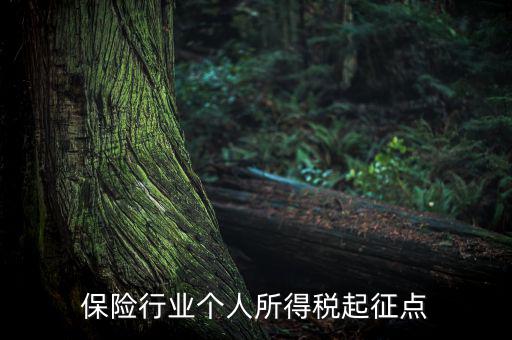 保險(xiǎn)行業(yè)入交什么稅，保險(xiǎn)行業(yè)個(gè)人所得稅起征點(diǎn)