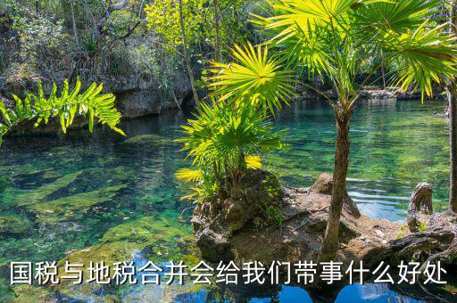 國(guó)稅地稅合作有什么意見，國(guó)稅地稅合并有何重要意義