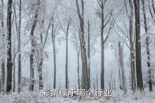 什么是彩票發(fā)行收入，福利彩票的發(fā)行收入是否征收營(yíng)業(yè)稅