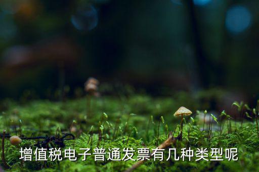 普通發(fā)票有什么種類，發(fā)票分幾種