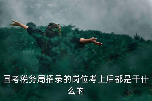 國考稅務(wù)局招錄的崗位考上后都是干什么的