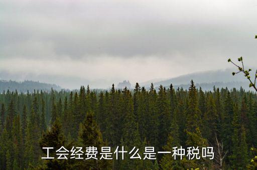 工會稅是什么，精靈樂章 工會抽稅是什么意思要詳細(xì)的