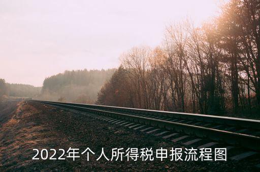 2022年個(gè)人所得稅申報(bào)流程圖